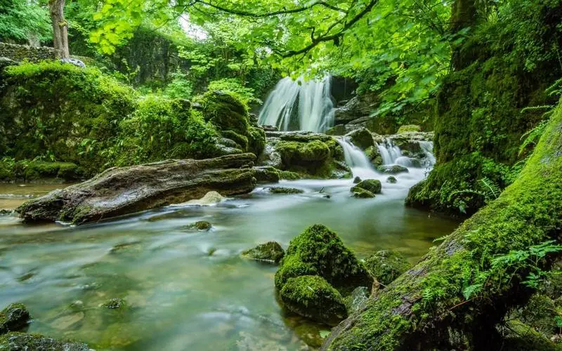 高质量高性能